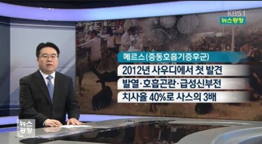 ▲ 메르스 뉴스 ⓒ뉴스광장 방송 화면