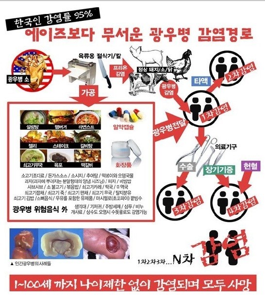 ▲ 2008년 인터넷을 통해 확산된 광우병 괴담 게시글. ⓒ 뉴데일리DB