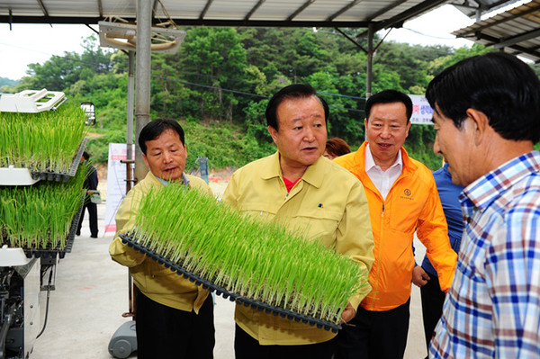 ▲ 양파 기계수확 현장 연시회에 참석한 박보생 시장이 관계자들과 이야기를 나누고 있다.ⓒ김천시 제공