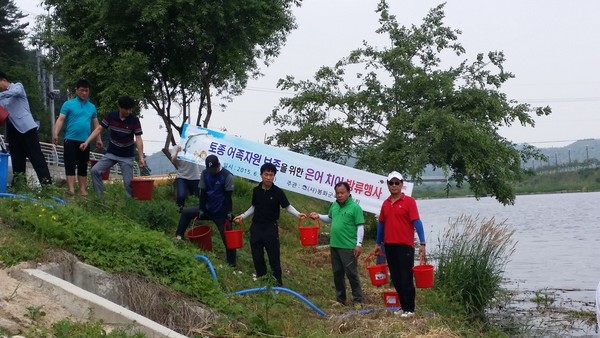 ▲ 봉화군은 사라져가는 어종을 보존해 생태계 복원과 지역의 관광자원으로 육성시키기 위해 내성천 축제장과 낙동강 상류에 은어치어를 방류했다.ⓒ봉화군 제공