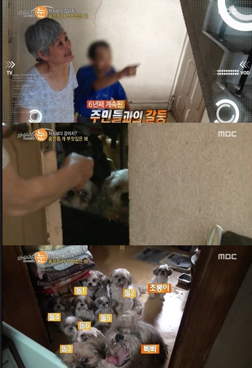 ▲ ⓒ MBC '리얼스토리 눈' 방송 화면