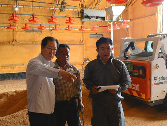 ▲ 농협손해보험 김학현 대표이사(사진 왼쪽)가 부석면 월계리 김성래 양계 농장주(사진 가운데)와 함께 축사 전기설비를 점검하고 있다.ⓒ농협손보 제공