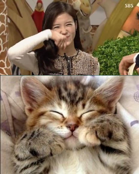 ▲ ⓒ SBS '동물농장' 방송 화면