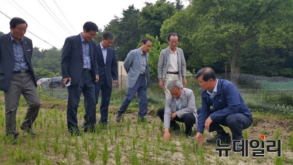 ▲ 경북농협 최규동 본부장이 18일 가뭄이 극심한 경북 울진지역을 찾아 농민들을 격려했다.ⓒ경북농협 제공