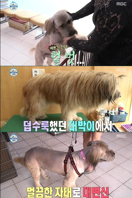 ▲ ⓒ MBC '나 혼자 산다' 방송 화면