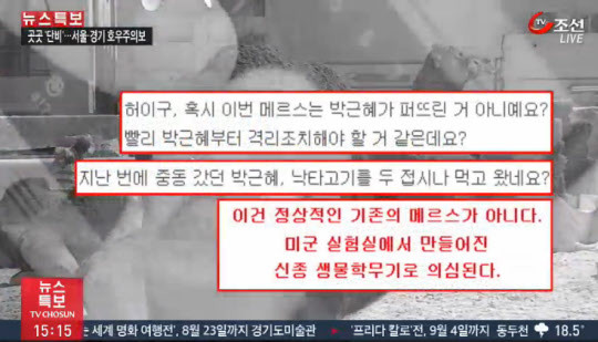 ▲ 메르스 괴담을 소개한 방송뉴스. ⓒ TV조선 화면 캡처