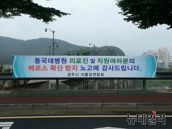 ▲ 경북 첫 메르스 확진환자의 퇴원소식이 알려지면서 경주시내에 경주 동국대병원 의료진과 직원의 노고를 응원하는 현수막이 게첩돼 눈길을 끌고 있다.ⓒ경북도 제공