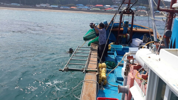 ▲ 울진군은 수산자원 회복과 어업인 소득 증대를 위해 어린 전복을 방류했다.ⓒ울진군 제공