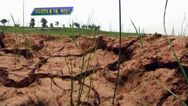 북한은 최근 '100년 만의 왕가뭄'이라며 가뭄 피해를 집중 선전하고 있다. ⓒMBC 통일전망대 방송화면 캡쳐