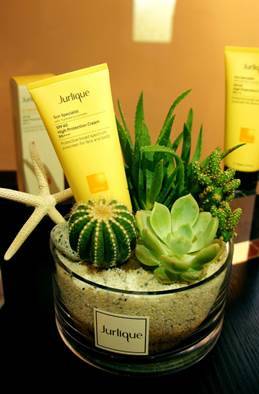 ▲ ⓒ쥴리크 '선 스페셜리스트 SPF40 하이프로텍션 크림 PA+++