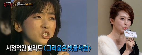 ▲ ⓒMBC 복면가왕 캡처및 자체 DB