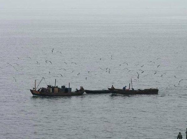 ▲ ▲ 바다에서 조업하고 있는 북한 어선. ⓒ 사진 출처 뉴포커스