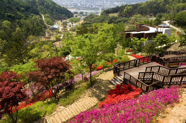 ▲ 산림녹화기념숲 ⓒ고령군 제공