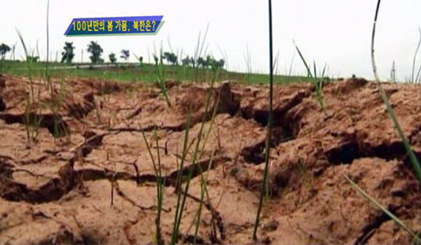 ▲ 북한은 '100년 만의 가뭄 피해'를 대외적으로 선전하면서 국제사회에 손을 벌리고 있다. ⓒMBC 통일전망대 관련보도 캡쳐