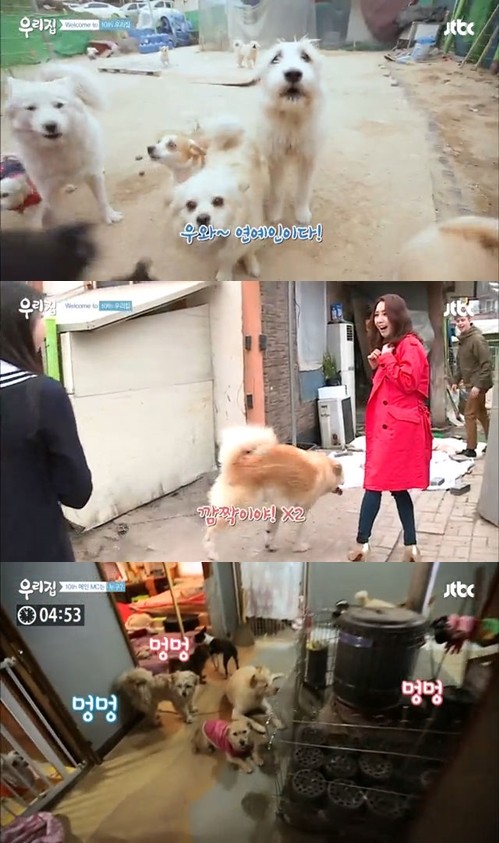 ▲ ⓒ JTBC '우리집' 방송 화면