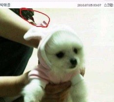 ▲ ⓒ온라인 커뮤니티