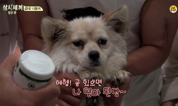 ▲ 밍키 ⓒ'삼시세끼' 방송화면 캡쳐