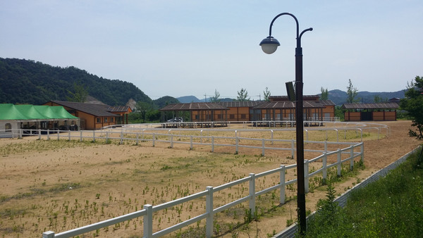 ▲ 고령군은 대가야 기마문화체험장장을 본격 가동 준비에 나섰다.ⓒ고령군 제공