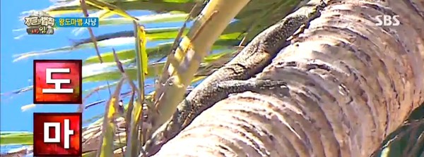 ▲ ⓒSBS '정글의 법칙' 방송캡처