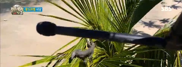 ▲ ⓒSBS '정글의 법칙' 방송캡처