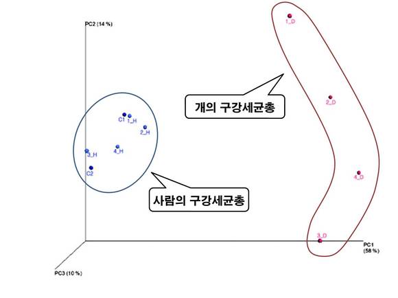 ▲ 보호자와 반려견 사이의 구강내 세균총의 유사도는 같은 집에 사는것과 관련이 없는 것으로 나타났다.ⓒ건국대