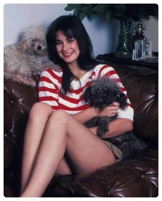 ▲ 데미무어ⓒ인터넷커뮤니티