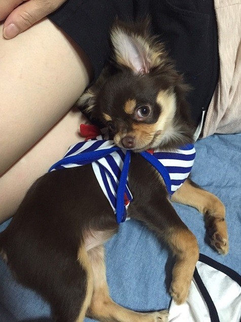 ▲ 솔지ⓒ솔지 인스타그램