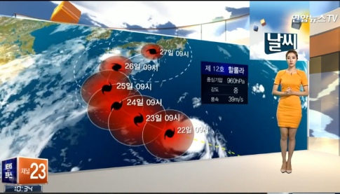 ▲ 태풍 할롤라 예보 ⓒ연합뉴스TV
