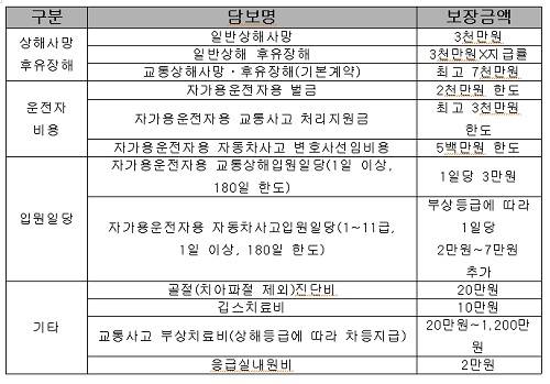 ▲ <운전자보장 플랜 보장내용>