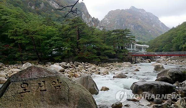 ▲ 북한 금강산 관광지구 일대의 소나무 숲. ⓒ연합뉴스. 무단전재 및 재배포 금지.