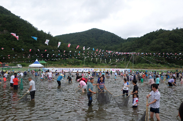 ▲ 황금은어축제 반두라 잡이 체험ⓒ영덕군 제공