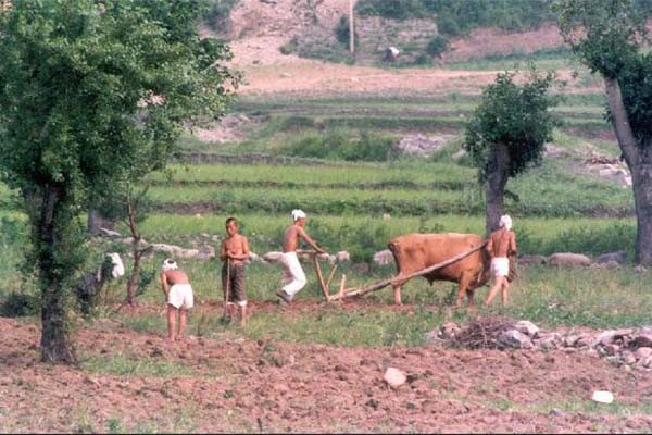 ▲ 농사짓는 북한군의 모습. 북한군은 평소 하는 일이 농사짓기, 각종 공사 등의 작업이다. ⓒ조선 펍 화면캡쳐