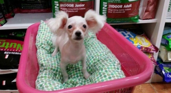 ▲ ⓒ온라인 커뮤니티