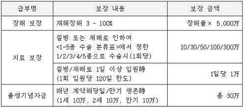 ▲ 표1. 삼성 815신나라보험 세부 보장내용