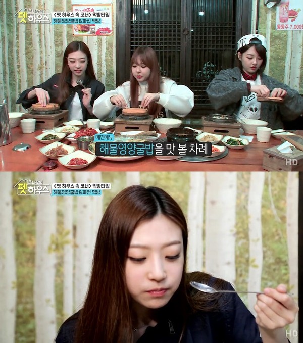 ▲ ⓒSBS MTV '소나무의 펫하우스'