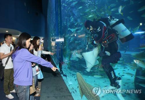 ▲ ⓒ본 이미지는 기사내용과 관련없음/ 연합뉴스