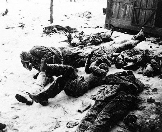 ▲ 장진호 전투는 한국에서는 흥남철수의 배경으로만 알려져 있지만, 美해병대에는 가장 고전한 전투로 유명하다. 사진은 장진호 전투 당시 얼어죽은 美해병대 장병들 시신. ⓒ6.25전쟁 종전 60주년 기념 블로그