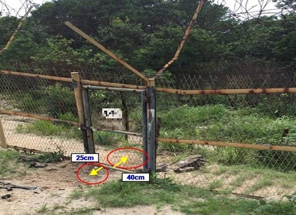 ▲ 지난 4일 발생한 북한의 서부전선 비무장지대(DMZ) 지뢰도발 사건이 일어난 통문모습.ⓒ국방부