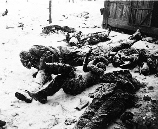 ▲ 6.25전쟁 중 장진호 전투에서 얼어죽은 美해병들. 美해병들이 이렇게 희생된 것은 中공산당이 김일성을 도와 30만 명을 파병했기 때문이다. ⓒ6.25전쟁 60주년 블로그 캡쳐