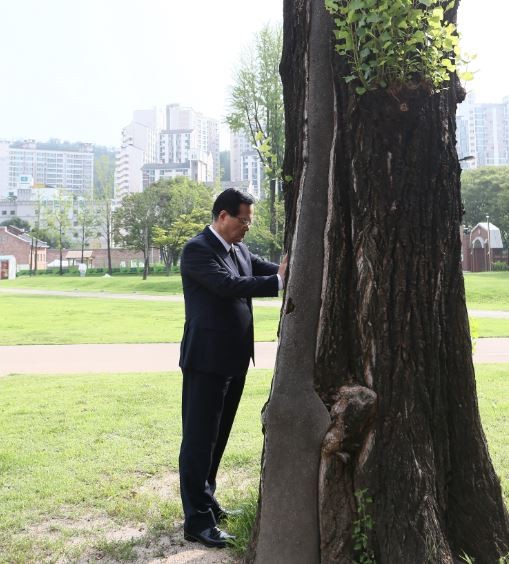 ▲ 통곡의 미루나무를 붙잡고 생각에 잠긴 정의화 국회의장.ⓒ국회 제공