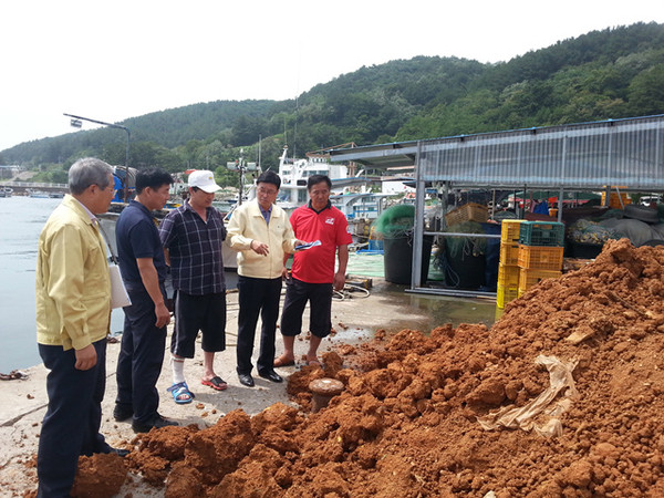 ▲ 조남월 영덕부군수가 축산면 일원에 비축된 황토 야적장을 찾아 현장 점검하고 있다.ⓒ영덕군 제공