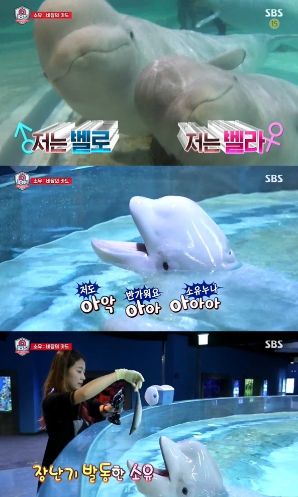 ▲ 벨루가 소유 ⓒ18초 방송화면 캡쳐