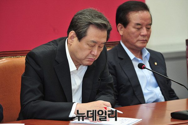 ▲ 새누리당 김무성 대표최고위원. ⓒ뉴데일리 이종현 기자