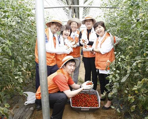 ▲ 한화생명 차남규 사장(오른쪽에서 두번째), 윤병철 FP영업본부장(오른쪽에서 세번째)과 봉사에 참석한 직원 및 FP들이 방울토마토를 따며 환하게 웃고 있다.