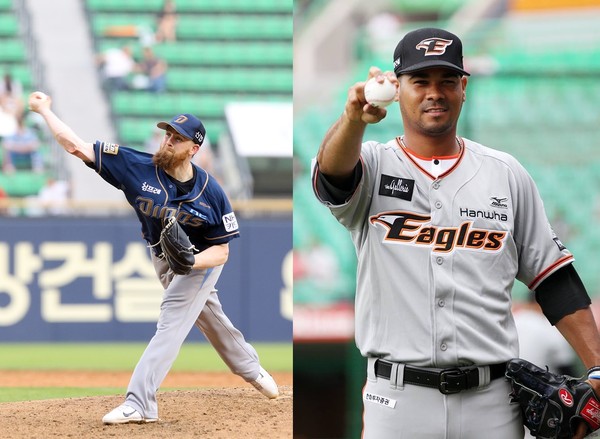 ▲ ⓒ신주영 작가,한화 이글스