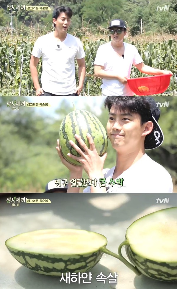 ▲ 옥택연 김광규 ⓒ삼시세끼 방송화면 캡쳐