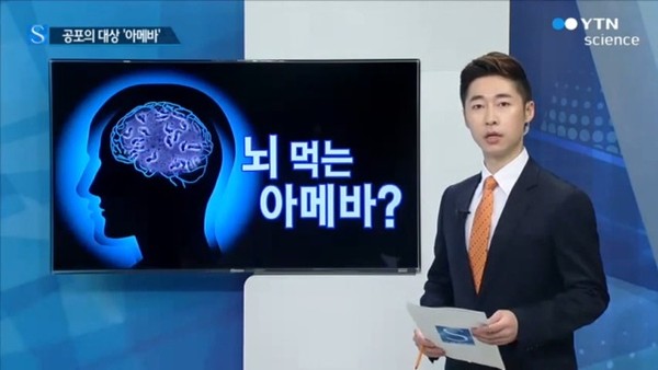 ▲ ⓒYTN 뉴스캡처