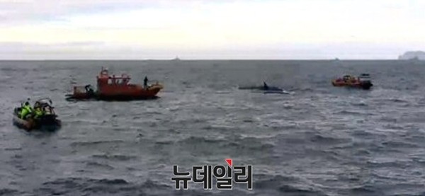 ▲ 돌고래호 수색작전을 벌이고 있는 모습. ⓒ제주해양경비안전본부