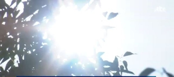 ▲ [오늘날씨예보]기상청, 대체로 맑음, 일교차 큰날씨ⓒ방송캡쳐