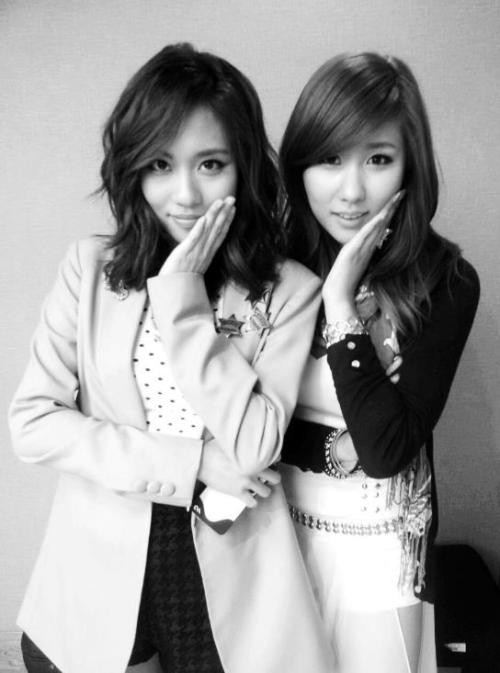 ▲ 스테파니 트위터ⓒ뉴데일리